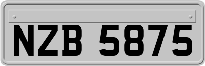 NZB5875