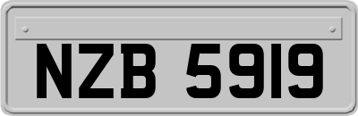 NZB5919