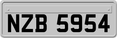 NZB5954
