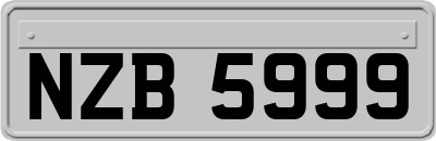NZB5999