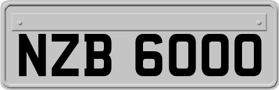 NZB6000