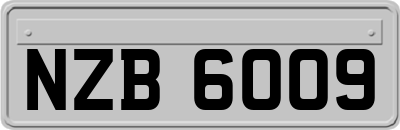 NZB6009