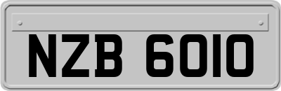 NZB6010