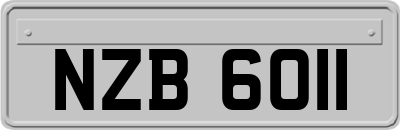 NZB6011
