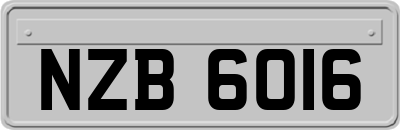 NZB6016