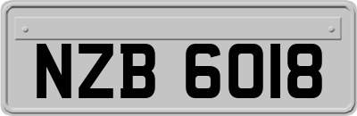 NZB6018
