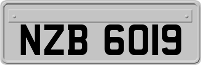 NZB6019