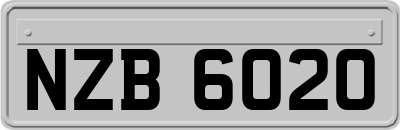 NZB6020