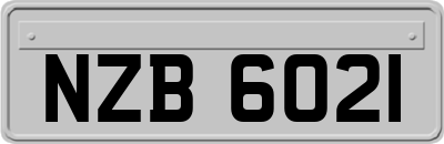 NZB6021