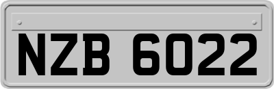 NZB6022