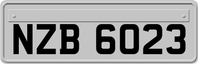NZB6023