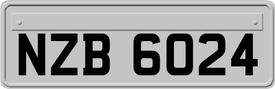 NZB6024