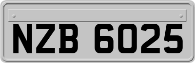 NZB6025