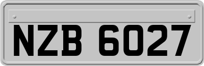 NZB6027
