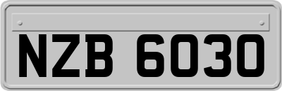 NZB6030