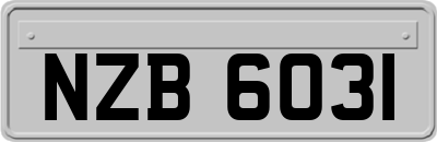 NZB6031