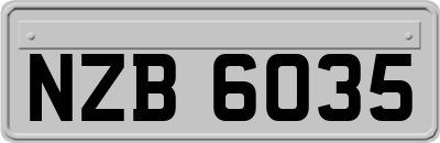 NZB6035