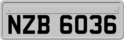 NZB6036