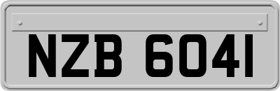 NZB6041