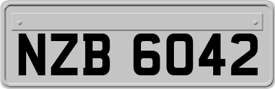 NZB6042
