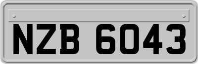 NZB6043