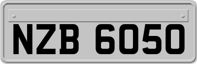 NZB6050