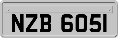 NZB6051