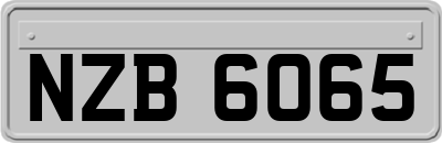 NZB6065