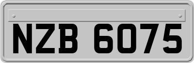 NZB6075