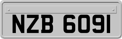 NZB6091