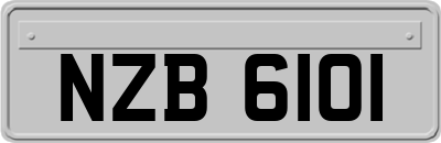 NZB6101