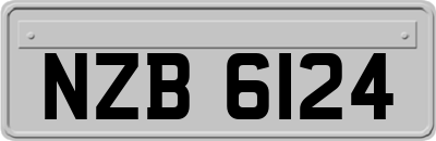 NZB6124