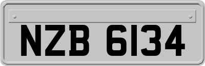 NZB6134