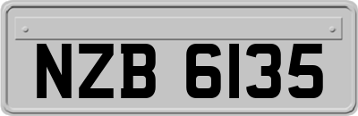 NZB6135