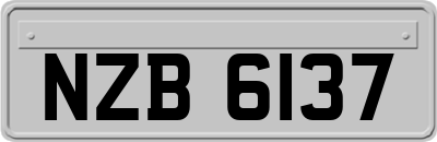 NZB6137
