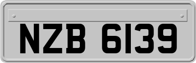 NZB6139
