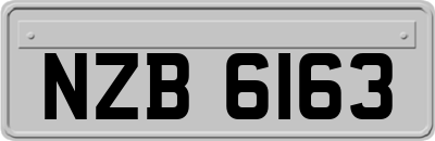 NZB6163