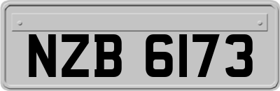 NZB6173