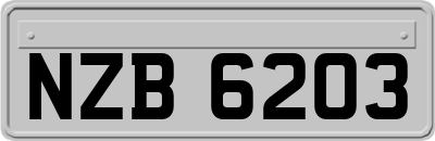 NZB6203