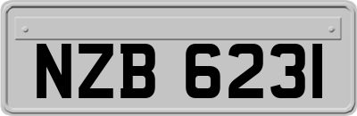 NZB6231
