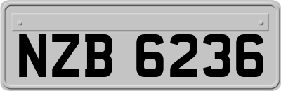 NZB6236