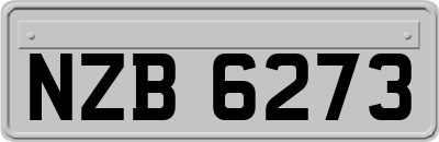 NZB6273