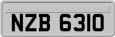 NZB6310