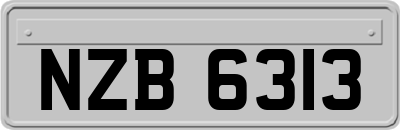 NZB6313