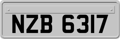 NZB6317