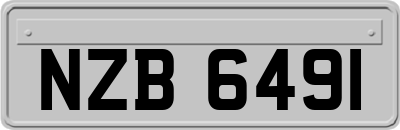 NZB6491