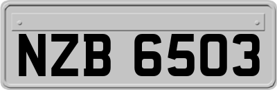 NZB6503