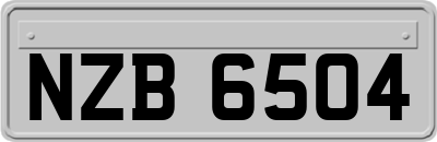 NZB6504