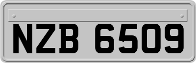 NZB6509