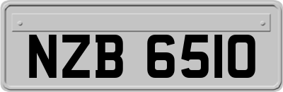 NZB6510